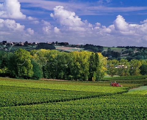 Machine harvesting of grapes in vineyard near CastillonlaBataille Gironde France Ctes de Castillon  Bordeaux