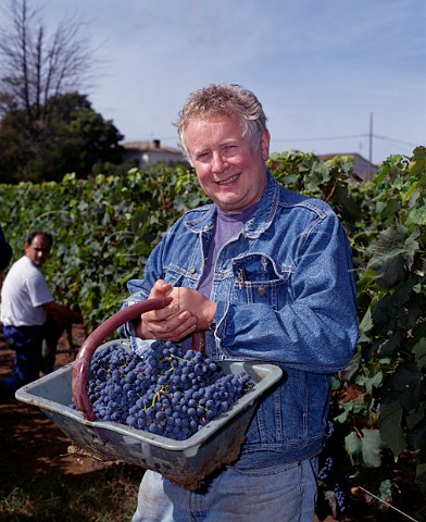 Tony Laithwaite with basket of harvested Merlot grapes in vineyard of Chteau la   ClarireLaithwaite SteColombe Gironde France     Ctes de Castillon  Bordeaux