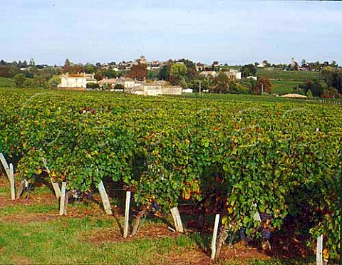 View over vineyard to Chteau Troquart with the   village of Montagne beyond Gironde France   StGeorgesStmilion  Bordeaux