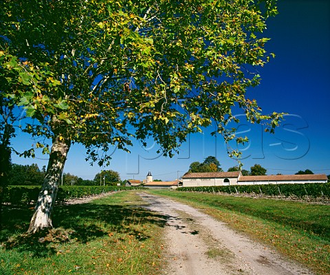 Chteau LatourMartillac Martillac Gironde France  PessacLognan  Bordeaux