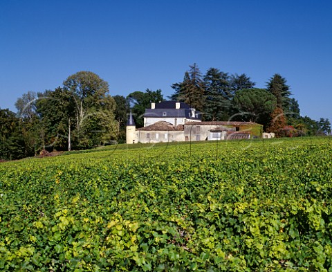 Chteau Couhins and its vineyard VillenavedOrnon Gironde France   PessacLognan  Bordeaux