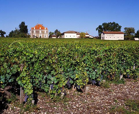 Chteau HautBailly and its vineyard Lognan Gironde France    PessacLognan  Bordeaux