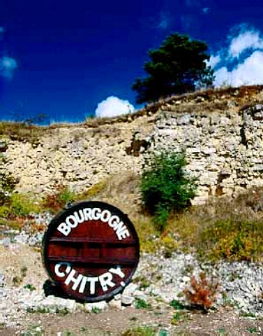 Old cask alongside cliff showing the limestone stoil   at Chitry Yonne France AC Bourgogne Chitry