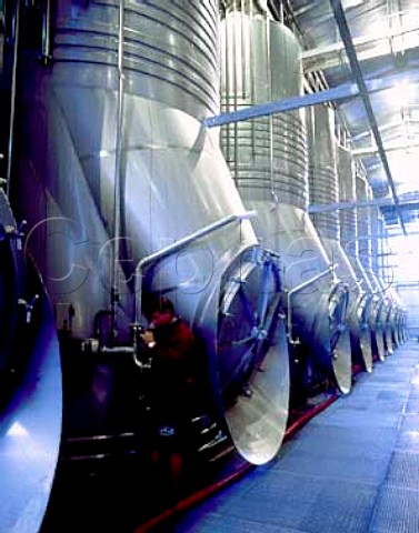 Winemaker checks the progress of his fermenting   Merlot in tank at the Union de Producteurs de   Rauzan Gironde France   Bordeaux  EntreDeuxMers