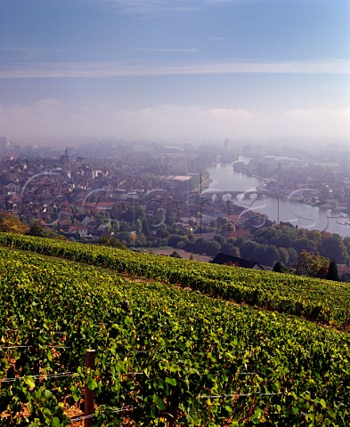 Vineyards on Cte StJacques above the town of Joigny and the River Yonne Yonne France Bourgogne Cte StJacques