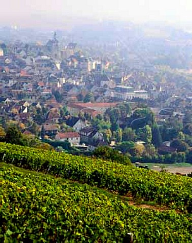 Vineyards on Cte StJacques above the town of Joigny Yonne France Bourgogne Cte StJacques