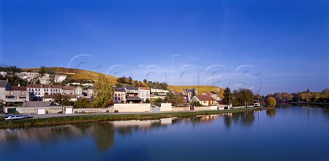The Clos des Goisses vineyard of Philipponnat above MareuilsurAy and the Canal Latral de la Marne Marne France Champagne