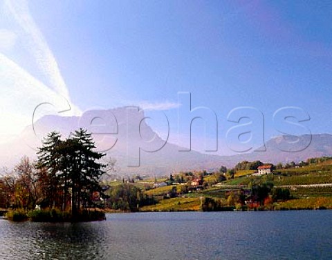 Autumnal vineyards on the slopes above Lac Lac de StAndr with Mont Granier and the Col du Granier beyond StAndr Savoie France Vin de SavoieAbymes