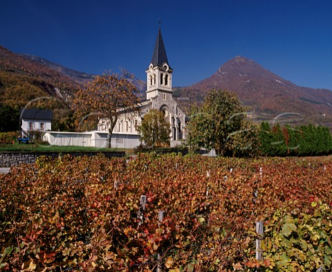 Autumnal vineyard by the church at Cruet Savoie  France  AC Vin de SavoieCruet