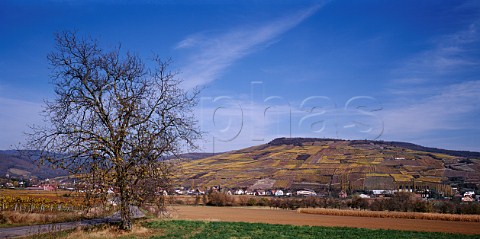 The Grand Cru Zinnkoepfl vineyard above the villages of Soultzmatt left and Westhalten HautRhin France Alsace