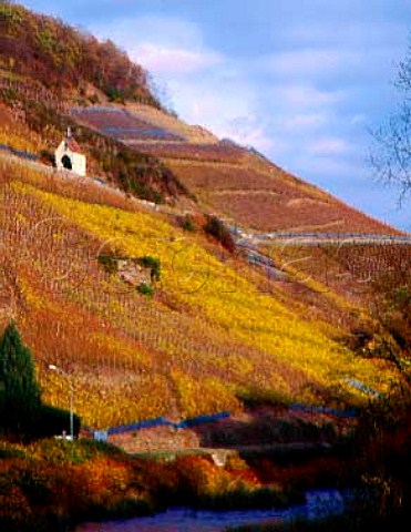 Clos StUrbain on the hill of Rangen This Grand Cru   vineyard owned by Domaine ZindHumbrecht   is noted for its Riesling     Thann HautRhin France Alsace