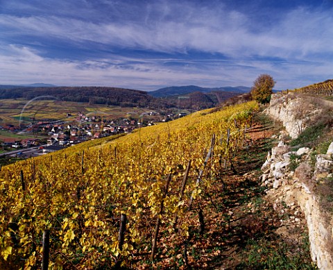 The Grand Cru Zinnkoepfl vineyard above Soultzmatt HautRhin France Alsace