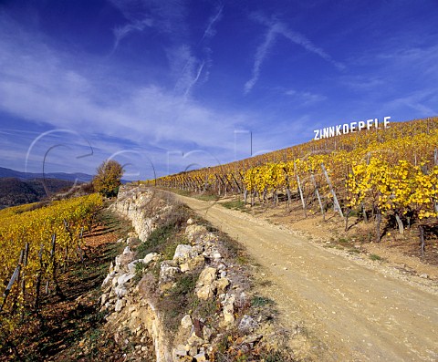 The Grand Cru Zinnkoepfl vineyard Westhalten HautRhin France Alsace