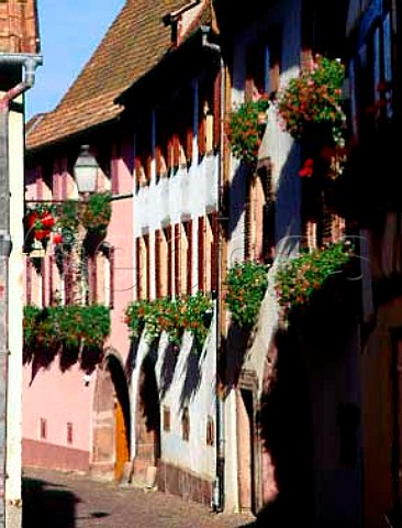 Flower boxes in the wine village of Gueberschwihr   HautRhin France Alsace