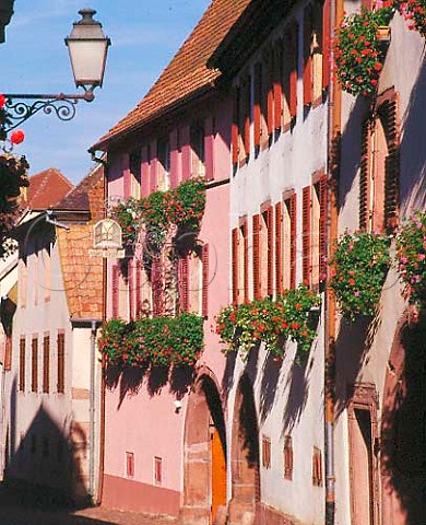 Premises of Maurice Schueller in the wine village of   Gueberschwihr HautRhin France  Alsace