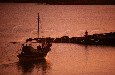 Fishing boat arriving back to harbour at dusk   Ios Cyclades Islands Greece