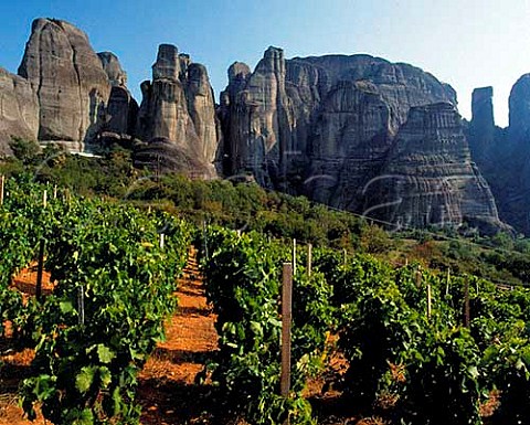 Vineyard below rock pinnacles of the  Meteora Thessaly Greece