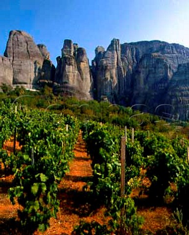 Vineyard below some of the rock pinnacles of the Meteora Thessaly Greece