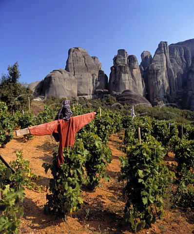 Scarecrow in vineyard below some of the rock   pinnacles of the Meteora    Thessaly Greece