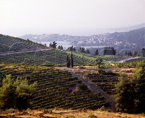 Vineyards of Domaine Porto Carras with the village   of Neos Marmaras and the Aegean sea beyond   Sithonia Halkidiki Greece
