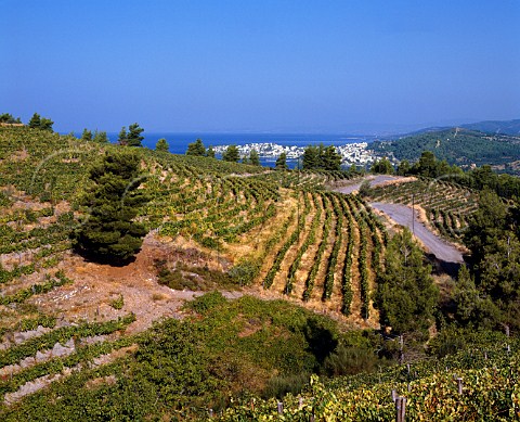 Vineyards of Domaine Porto Carras with the village   of Neos Marmaras and the Aegean sea beyond   Sithonia Halkidiki Macedonia Greece