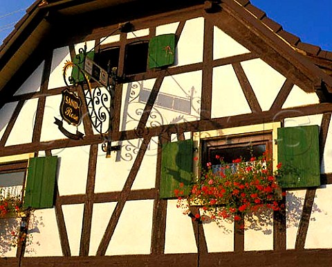 Window box on wall of Gaststube in the wine town of   Durbach Baden Germany