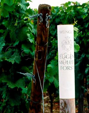 Marker post in vineyards of Eugene Muller at   Deidesheim Pfalz Germany   Bereich  Mittelhaardt Deutsche Weinstrasse