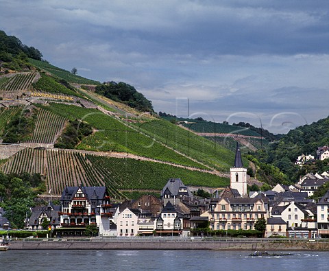 View across the Rhine to Assmannshausen with the Hollenberg vineyard behind The village is unusual in this area for being famous only for red wine  a pale Pinot Noir Germany Rheingau