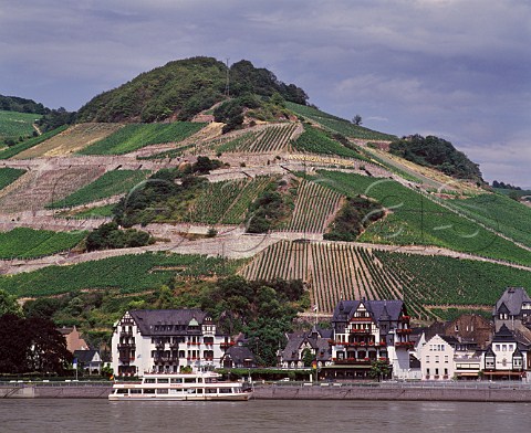 View across the River Rhine to Assmannshausen and the Krone Hotel with the Hollenberg vineyard behind The village is unusual in this area for being famous only for red wine    a pale Pinot Noir  Germany     Rheingau