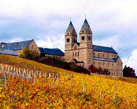 StHildegardis Abbey viewed over the Klosterberg   vineyard Rdesheim Germany     Rheingau