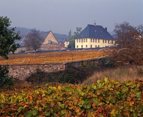 The Staatsweingut in the lower part of the walled Steinberg vineyard of Kloster Eberbach Hattenheim Germany Rheingau