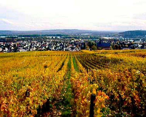 View over the Klosterlay vineyard to Eibingen   a small village on the outskirts of Rdesheim   Germany      Rheingau