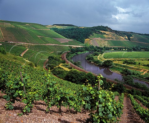 View to the Braunekupp vineyard top right  part of  the Le Gallais estate managed by Egon Mller and  the Kupp vineyard top left from the Holle  vineyard  Wiltingen  Saar Germany Mosel