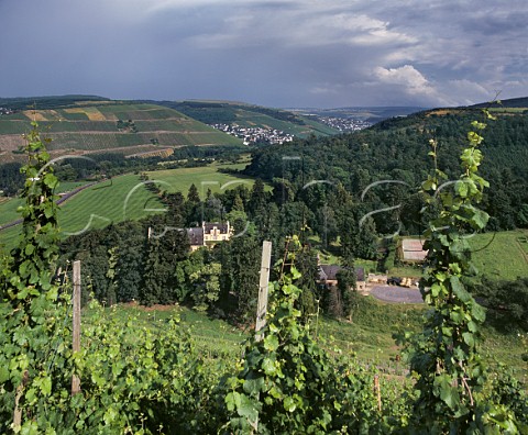 Maximin Grunhaus viewed from the Abtsberg vineyard with the villages of Kasel and Waldrach in distance Mertesdorf Ruwer Germany   Mosel