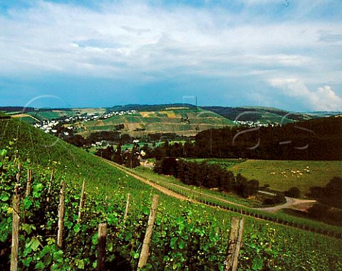 View over the Abtsberg vineyard to Mertesdorf left   and Kasel Ruwer Germany   Mosel