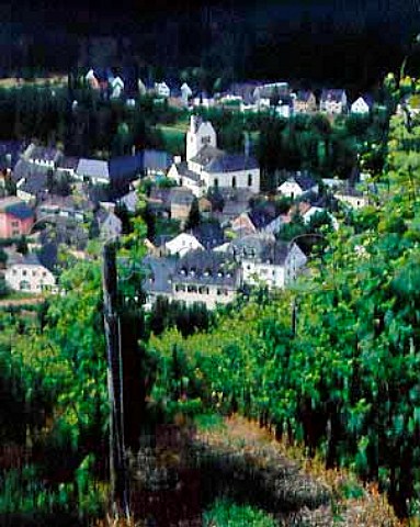 Vines of Deinhard in the Nieschen vineyard above   Kasel Ruwer Germany   Mosel