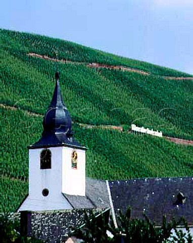 The Bruderschaft vineyard above the church of   Klusserath Germany  Mosel