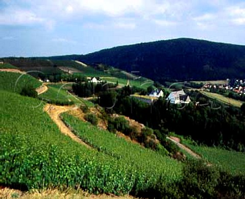 The Staatsweingut at the foot of the   Kupfergrube Vineyard Copper Mine with the village   of Oberhausen across the Nahe river   Schlossbckelheim Germany    Nahe