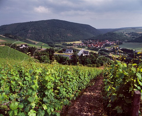 The Staatsweingut at the foot of the   Kupfergrube Vineyard Copper Mine with the village of Oberhausen across the Nahe river   Schlossbckelheim Germany    Nahe
