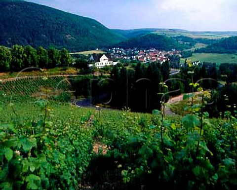 The Staatsweingut at the foot of the   Kupfergrube Vineyard Copper Mine with the village of Oberhausen across the Nahe river   Schlossbckelheim Germany    Nahe