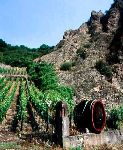 Old barrel at the foot of the Traiser Bastei   vineyard Traisen Germany    Nahe