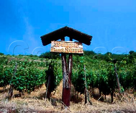 Sign of Weingut Franck Kruger in the Gutzenfels   vineyard Traisen Germany    Nahe
