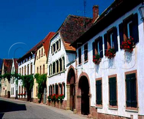 Houses in the wine town of Birkweiler Germany    Sudpfalz