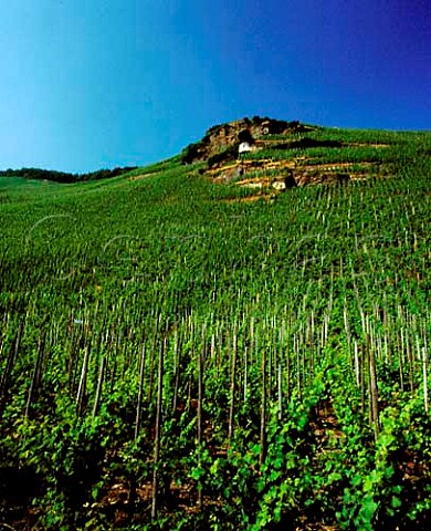 Sundial in the Wehlener Sonnenuhr vineyard opposite   Wehlen Germany    Mosel