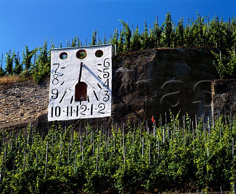 The sundial in the Sonnenuhr vineyard at Zeltingen   Germany  Mosel