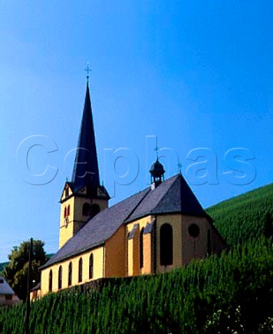 The church in the Sonnenuhr vineyard at Zeltingen   Germany  Mosel