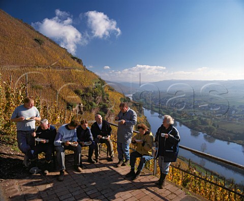 Kurt Schild centre of Weingut Moselschild joins  his pickers for lunch in the Wrzgarten vineyard at rzig Germany Mosel