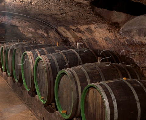 Barrels used for ageing schnapps which has been   distilled from grape skins   Weingut Moselschild rzig Germany   Mosel