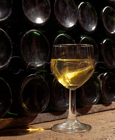 Glass of Riesling Auslese from the rziger  Wrzgarten vineyard in the vintage bottle cellar of Weingut Moselschild rzig Germany Mosel
