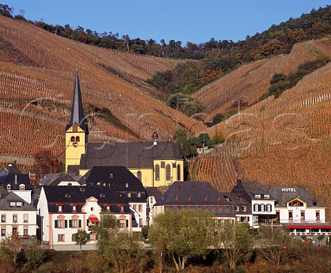 Village of Zeltingen at the foot of the Schlossberg vineyard in early November Germany  Mosel